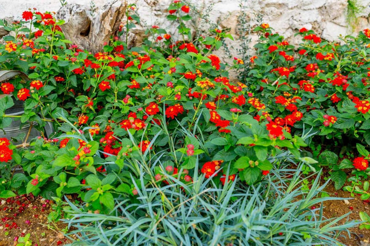 Art Studio Kefalonia Dhavgáta Exteriér fotografie