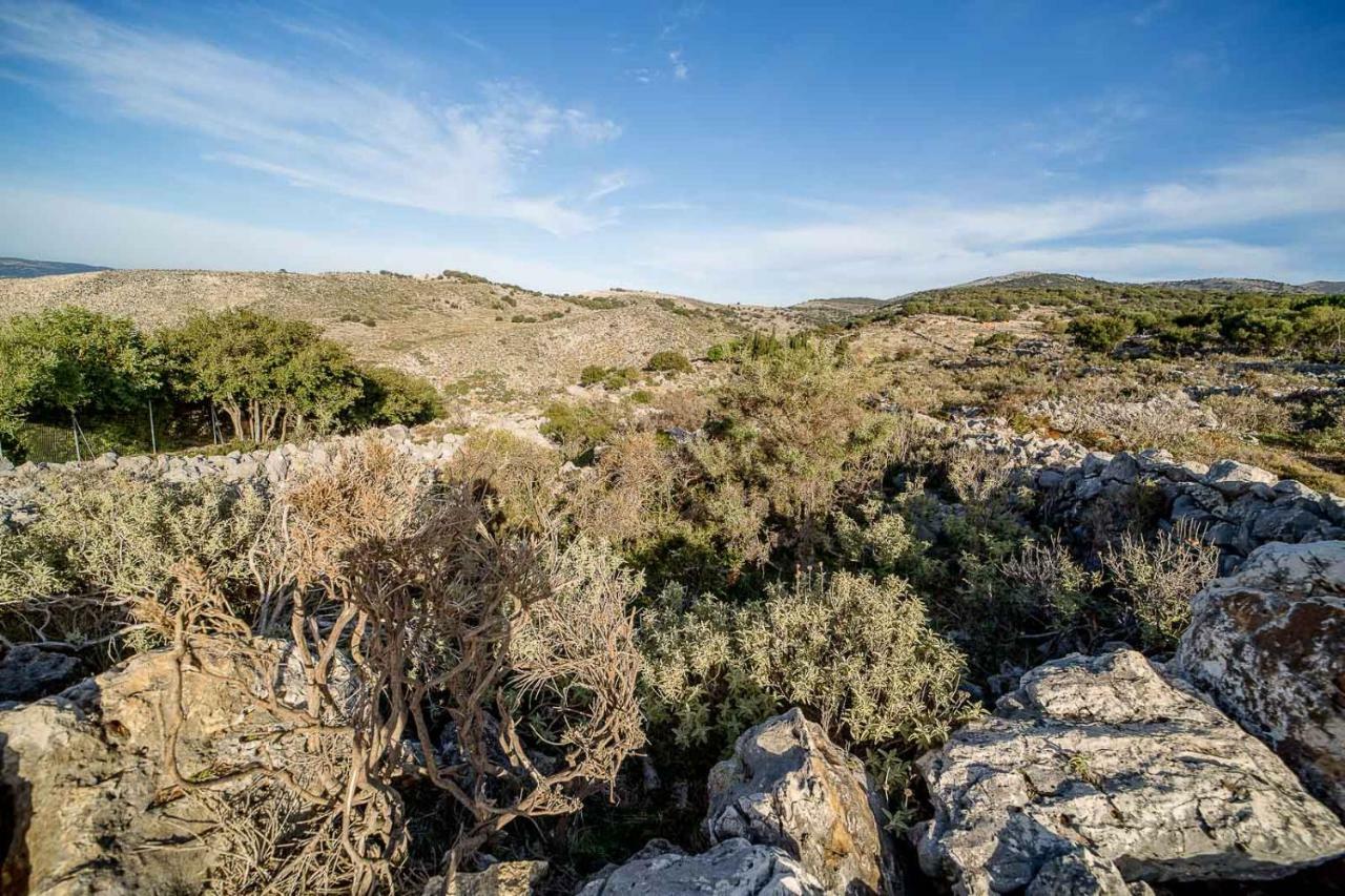 Art Studio Kefalonia Dhavgáta Exteriér fotografie
